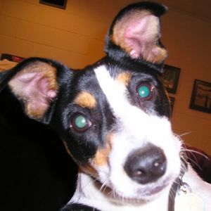 Meet your Posher, Mark